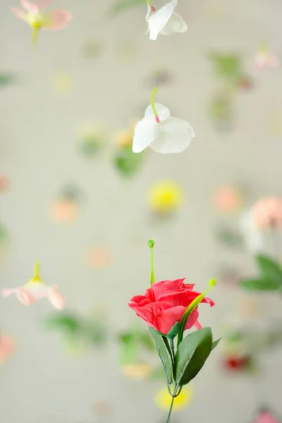 Прекрасна Квітка Творча Весняна Природа Літня Концепція Цвітіння Копіювати Простір — стокове фото