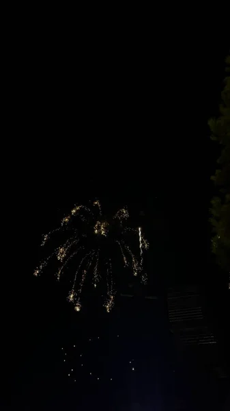 Fireworks Black Background Golden Sparks Firecrackers Isolated — Stockfoto