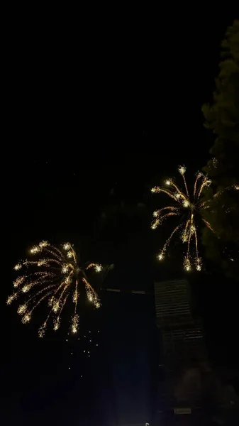 Fireworks Black Background Golden Sparks Firecrackers Isolated — ストック写真