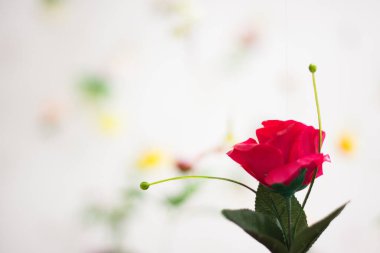 Güzel çiçek. Yaratıcı bahar doğası. Yaz çiçeği konsepti. Uzayı kopyala Arkaplan için yatay fotoğraf. 