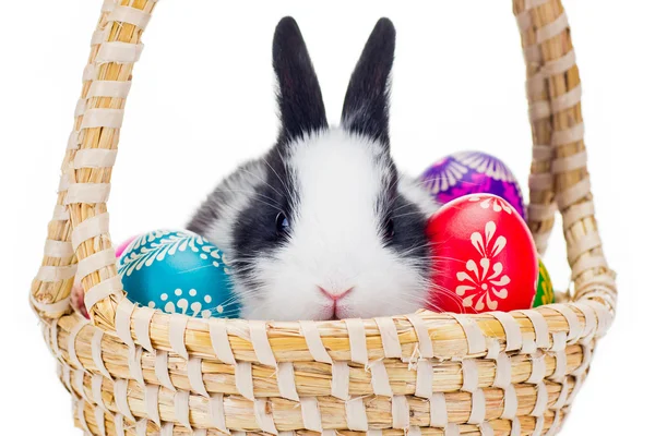 Barevné velikonoční vajíčka s Beruška — Stock fotografie