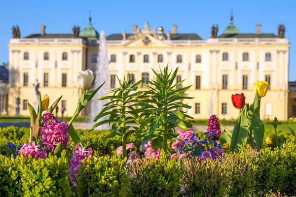 Branickis Palace Bialystok — Stock Photo, Image