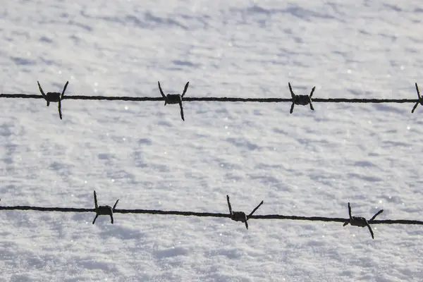 Barbed wire — Stock Photo, Image