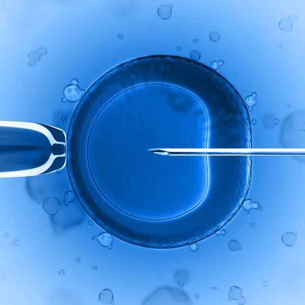 Inseminazione artificiale — Foto Stock