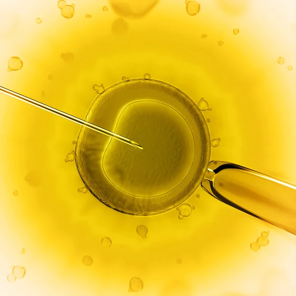 Artificial insemination — Stock Photo, Image