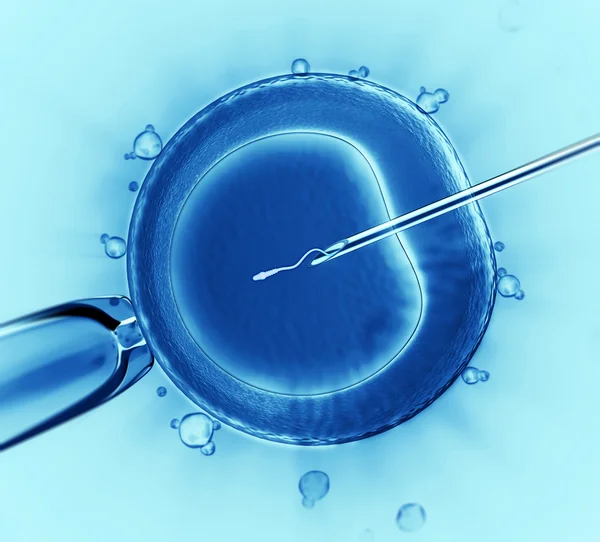 Artificial insemination — Stock Photo, Image