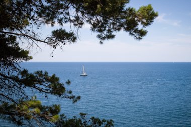 yelkenli tekne - stok görüntü