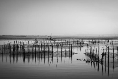 Albufera 'da güzel bir göl.