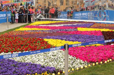 sıra ana Paralimpik ve büyük rengarenk flowerbed sochi Olimpiyat Parkı içinde.