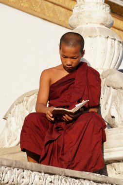 Genç Asyalı keşiş manastırda kitap okuyor.