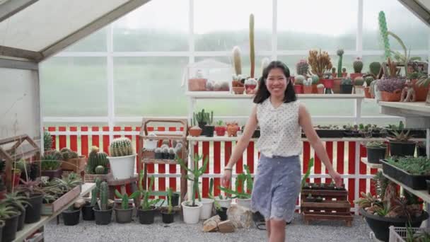 Mujer Asiática Vendiendo Plantas Cactus Suculentas Una Pequeña Tienda — Vídeos de Stock
