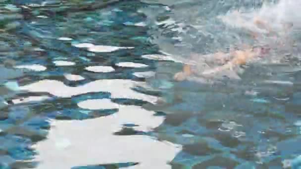 Senior Asian Man Swimming Blue Pool Summer Vacation — Stockvideo