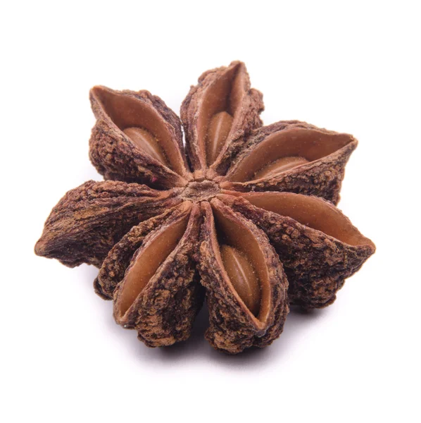 beyaz üzerinde izole edilmiş yıldız anasonu