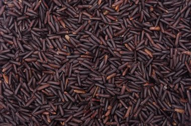 arka planını tahıl yabani pirinç