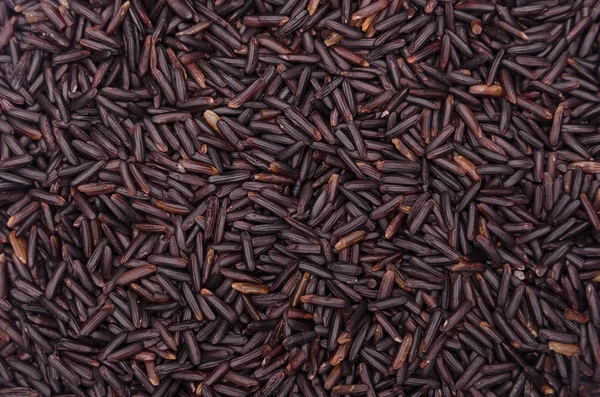 arka planını tahıl yabani pirinç