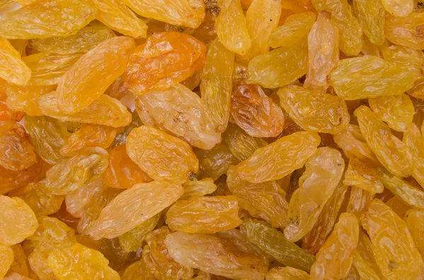 arka plan ışığı kuru üzüm