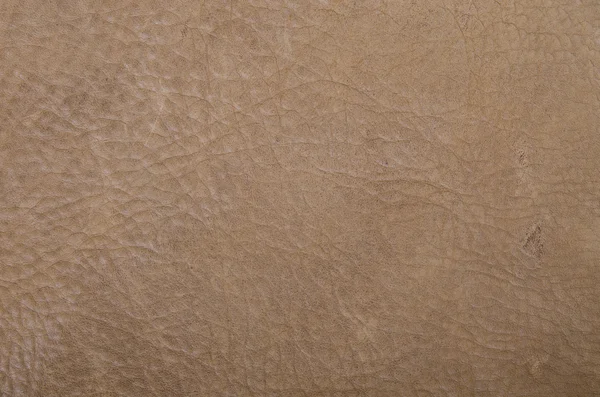 arka plan açık kahverengi deri fabrikası