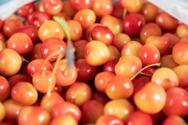 Kırmızı ve sarı kiraz arka planı.