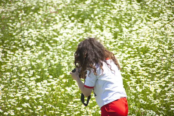Woman Takes Photo Chamomile Field — Stock Photo, Image
