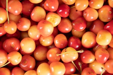 kırmızı ve sarı kiraz arkaplanı