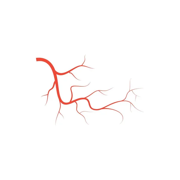 Venas rojas del ojo humano, anatomía arterias de los vasos sanguíneos ilustración. Vector médico ojo vena arterias mapa del sistema. Venas en estilo plano aisladas sobre fondo blanco — Vector de stock