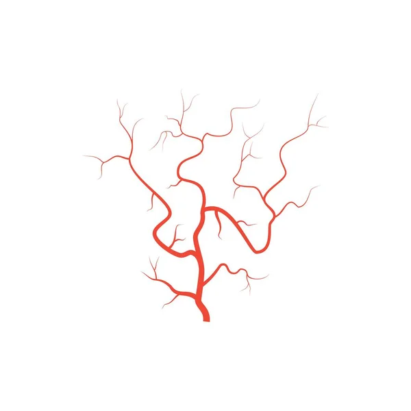 Veines oculaires rouges humaines, illustration des artères des vaisseaux sanguins anatomiques. Carte du système des artères veineuses du globe oculaire médical vectoriel. Veines plates isolées sur fond blanc — Image vectorielle