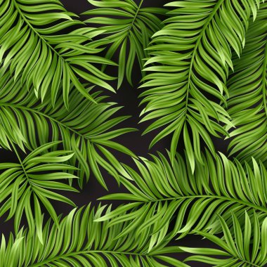 Beyaz arka planda yalıtılmış tropik palmiye yaprağı. Gerçekçi yeşil yaz bitkisi. Vektör illüstrasyonu