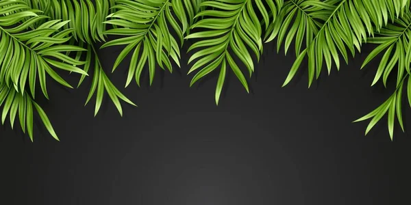 Tropical palm leaf isolated on black background. Realistic green summer plant. Vector illustration — Stock Vector
