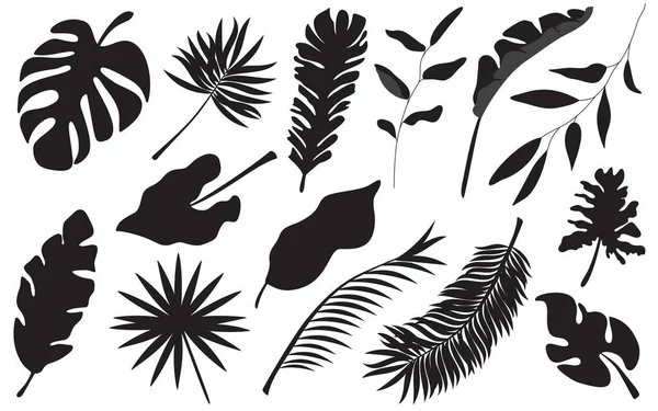 Foglia di palma tropicale isolata su sfondo bianco. Set di piante estive nere. Illustrazioni di rami botanici tropicali Illustrazione vettoriale — Vettoriale Stock