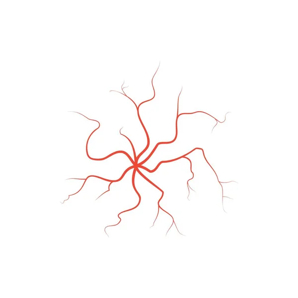 Ludzkie czerwone żyły oka, anatomia tętnic naczyniowych. Wektorowe medyczne tętnice gałki ocznej mapa systemu. Żyły w płaskim stylu odizolowane na białym tle — Wektor stockowy