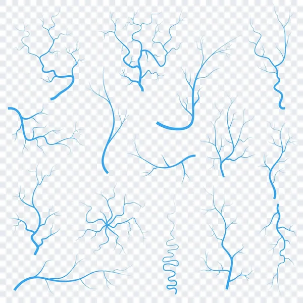 Veines oculaires bleues humaines, anatomie artères des vaisseaux sanguins illustration. Carte du système des artères veineuses du globe oculaire médical vectoriel Veines plates isolées sur fond trasparent — Image vectorielle