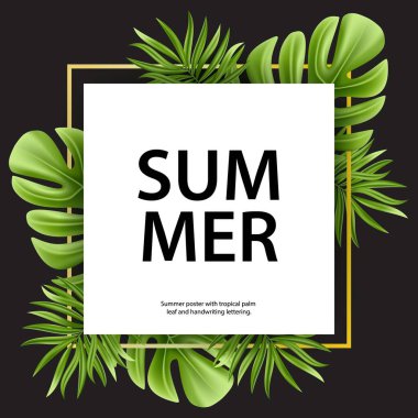 Beyaz arka planda yalıtılmış tropik palmiye yaprağı. Gerçekçi yeşil yaz bitkisi. Vektör çiçek illüstrasyonu