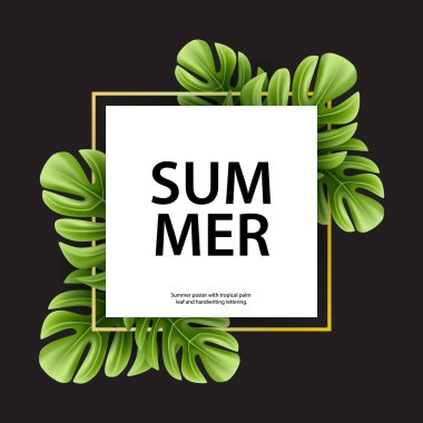 Beyaz arka planda yalıtılmış tropik canavar palmiye yaprağı. Gerçekçi yeşil yaz bitkisi. Vektör orman bitkileri çizimi