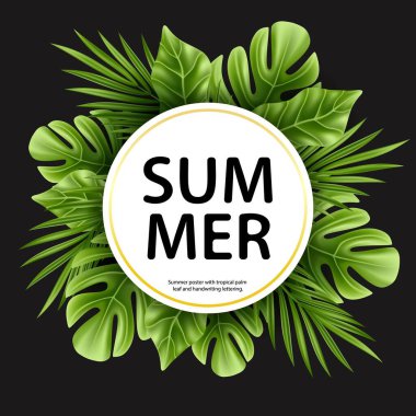 Siyah zemin üzerinde izole tropikal palmiye yaprağı beyaz daire içinde metin ile. Gerçekçi yeşil yaz bitkisi. Vektör orman bitkileri çizimi