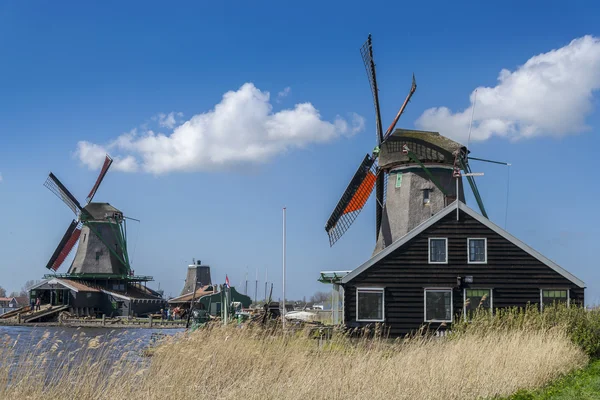 Zaanse schans 阿姆斯特丹附近的大风车 — 图库照片