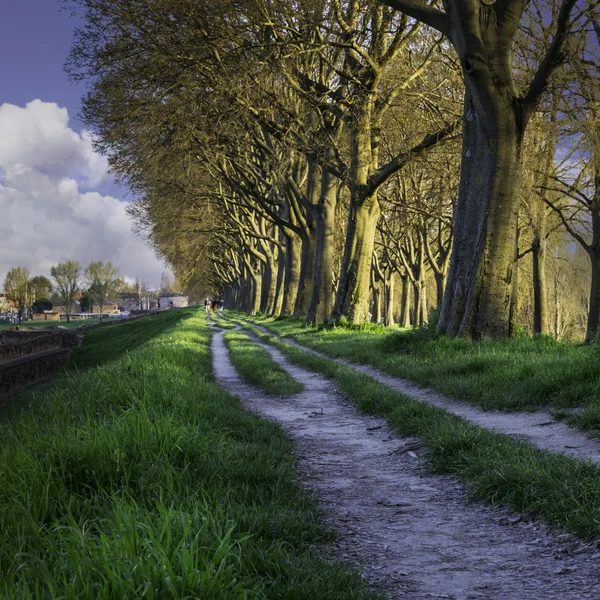 De Muren van Ferrara (in het Italiaans Le Mura) in Italië — Stockfoto