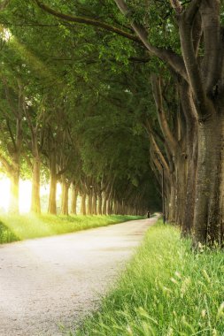 İtalya 'da Ferrara Duvarları (İtalyanca: Le Mura)