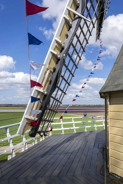 Hoja de un molino de viento en los Jardines Keukenhof en Holanda — Foto de Stock