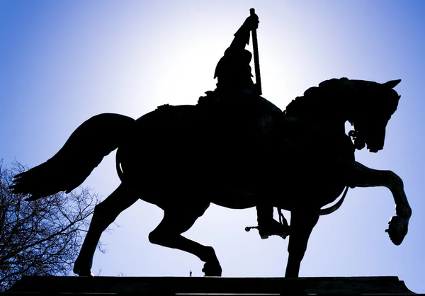 Silhouet van een standbeeld van een paard in een Nederlandse vierkant — Stockfoto