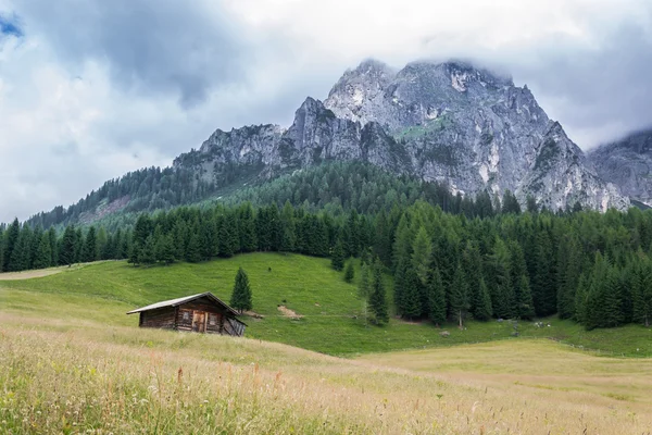 Casa in legno in un prato verde vicino alle montagne — Foto Stock