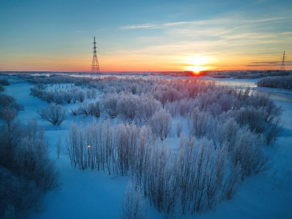 Frozen Trees River — Stock Photo, Image