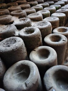 Şarap mahzeninde toz ve örümcek ağlarıyla kaplı şarap şişeleri..