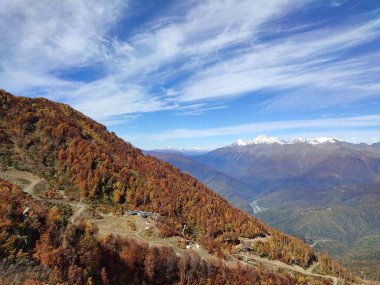 A road in the mountains winding through the trees under a blue sky on a sunny autumn day