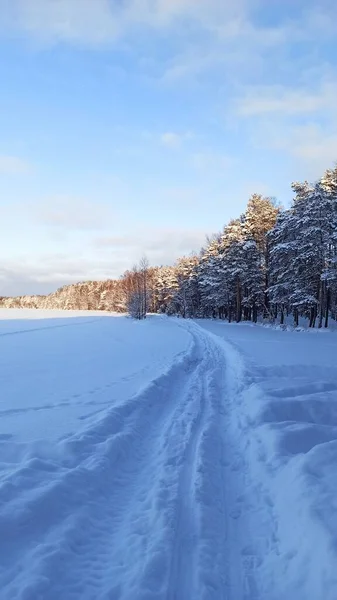 Skiing on the snow of a winter lake on a sunny day
