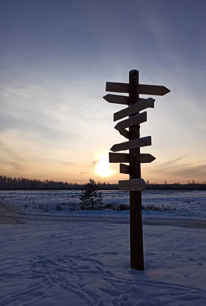 Pointer Field Background Setting Winter Sun Stockfoto