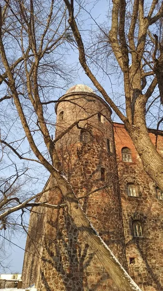 晴れた冬の日には木々の黒い枝の間に塔と古代の城の石の要塞の壁 — ストック写真