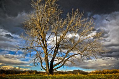 zengin bir colorado gökyüzü