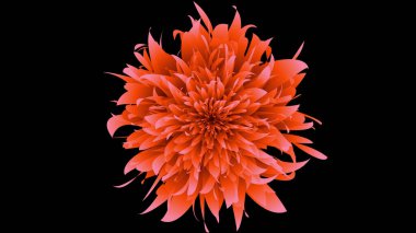 abstract interesting flower, abstract background