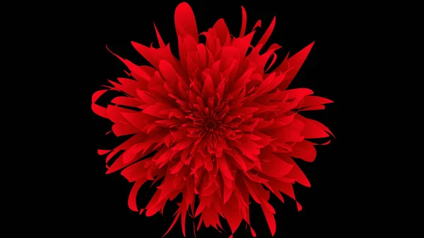 abstract interesting flower, abstract background