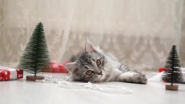 Gri tüylü çizgili bir kedi yavrusu yerde yapay Noel ağaçlarının ve boncukların yanında yatıyor..